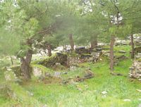 Priene