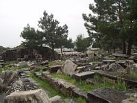 Priene