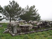 Priene